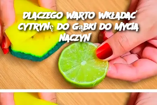 Dlaczego warto wkładać cytrynę do gąbki do mycia naczyń?