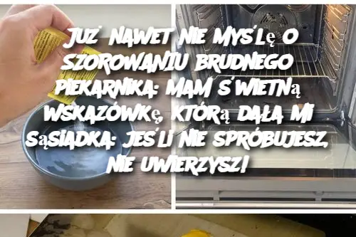 Już nawet nie myślę o SZOROWANIU brudnego piekarnika: mam świetną wskazówkę, którą dała mi sąsiadka: jeśli nie spróbujesz, nie uwierzysz!