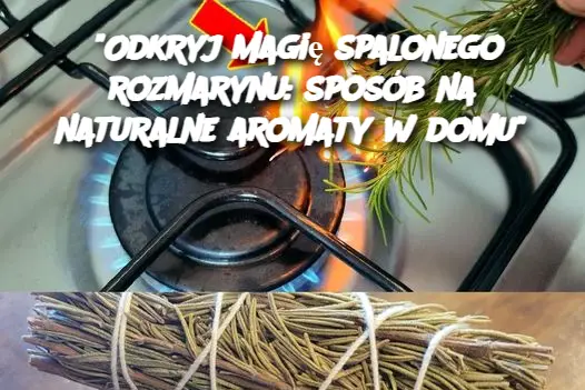 “Odkryj magię spalonego rozmarynu: sposób na naturalne aromaty w domu”