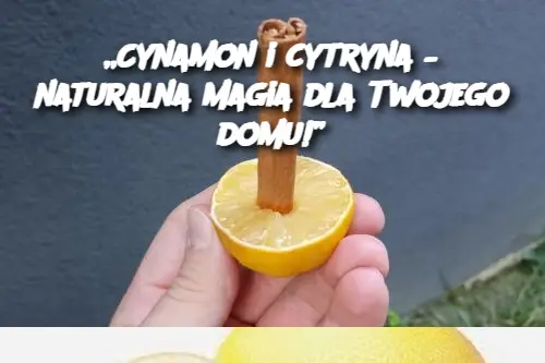 Cynamon i Cytryna – Naturalna Magia Dla Twojego Domu!