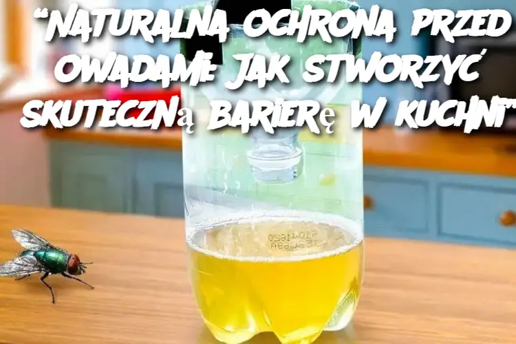 Jak Stworzyć Skuteczną Barierę w Kuchni