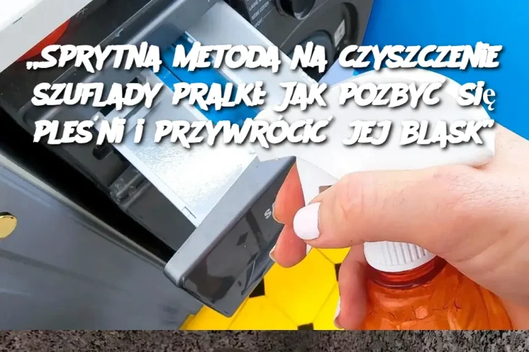 „Sprytna metoda na czyszczenie szuflady pralki: Jak pozbyć się pleśni i przywrócić jej blask”