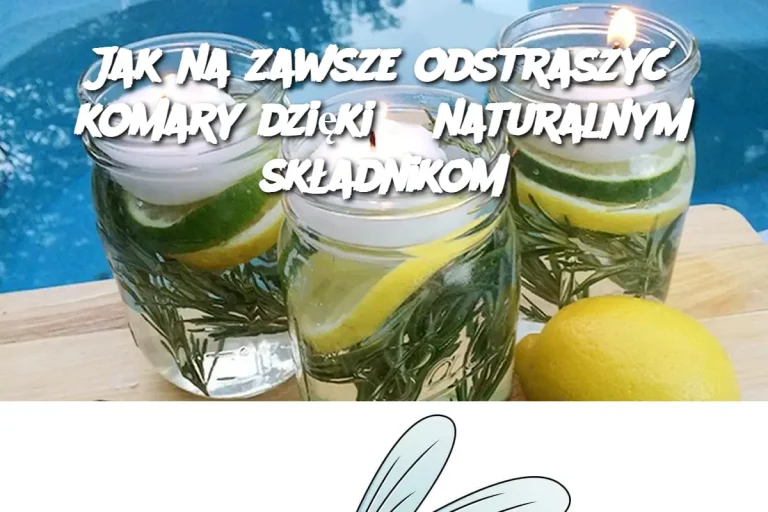 Jak na zawsze odstraszyć komary dzięki 3 naturalnym składnikom