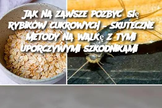 Jak na zawsze pozbyć się rybików cukrowych – Skuteczne metody na walkę z tymi uporczywymi szkodnikami