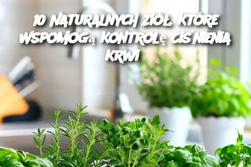 10 Naturalnych Ziół, Które Wspomogą Kontrolę Ciśnienia Krwi