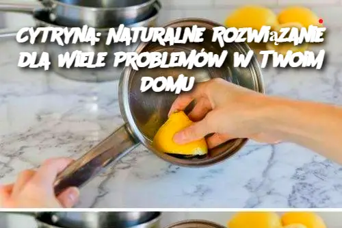 Cytryna: Naturalne Rozwiązanie dla Wiele Problemów w Twoim Domu