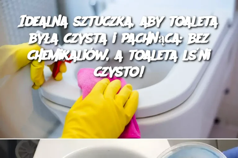 Idealna sztuczka, aby toaleta była czysta i pachnąca: bez chemikaliów, a toaleta lśni czysto!