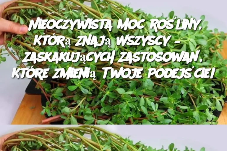 Nieoczywista Moc Rośliny, Którą Znają Wszyscy – 8 Zaskakujących Zastosowań, Które Zmienią Twoje Podejście!