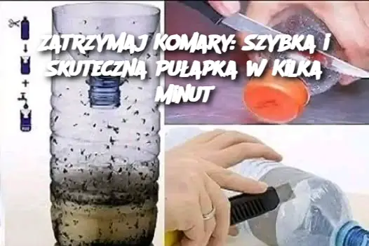 Zatrzymaj Komary: Szybka i Skuteczna Pułapka w Kilka Minut