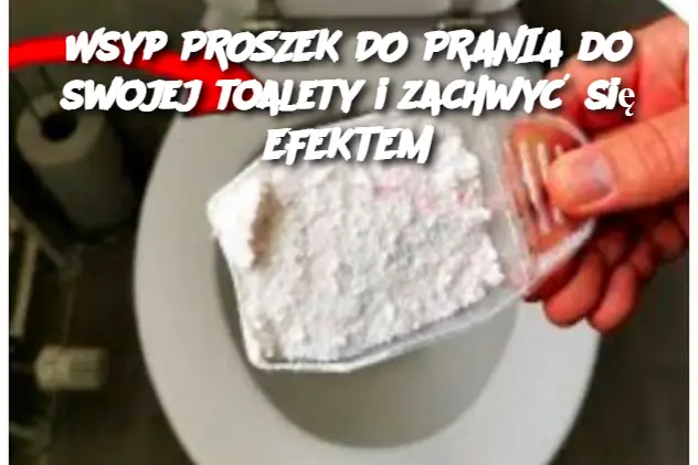 Wsyp PROSZEK DO PRANIA do swojej toalety i zachwyć się EFEKTEM