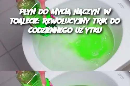 Płyn do mycia naczyń w toalecie: rewolucyjny trik do codziennego użytku