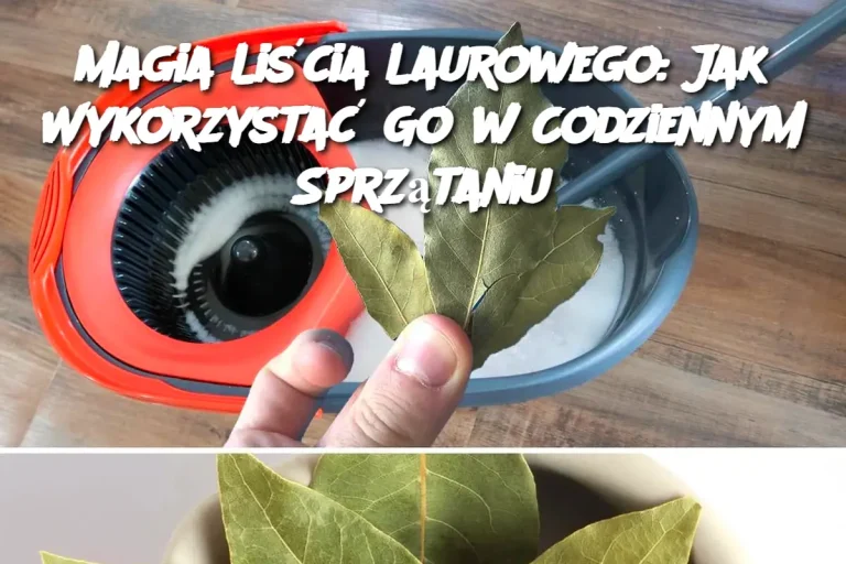 Magia Liścia Laurowego: Jak Wykorzystać Go w Codziennym Sprzątaniu