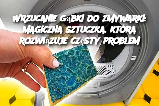 Wrzucanie Gąbki do Zmywarki: Magiczna Sztuczka, Która Rozwiązuje Częsty Problem