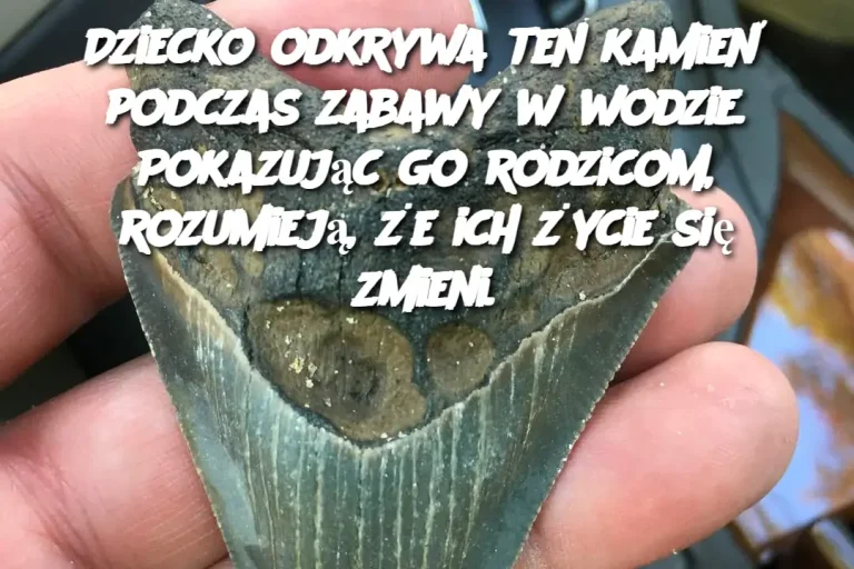 Dziecko odkrywa ten kamień podczas zabawy w wodzie. Pokazując go rodzicom, rozumieją, że ich życie się zmieni.