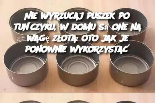 Nie wyrzucaj puszek po tuńczyku, w domu są one na wagę złota: oto jak je ponownie wykorzystać