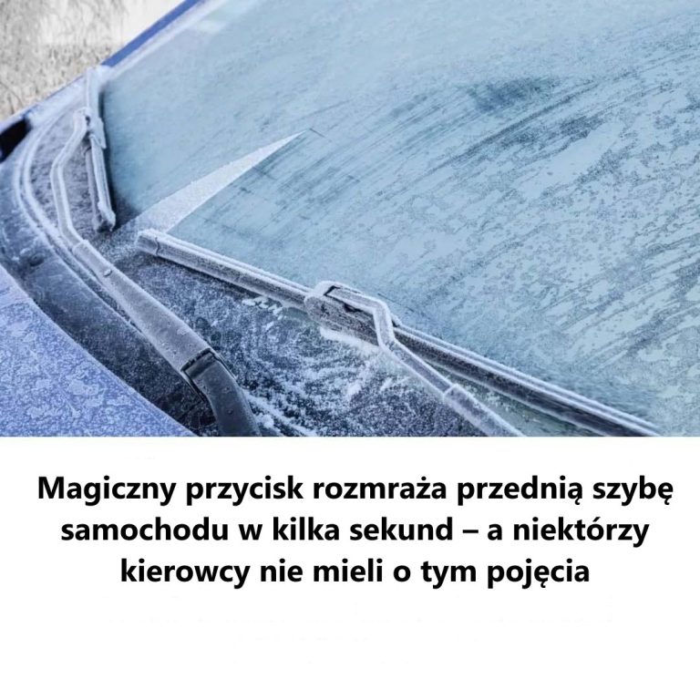 ak za pomocą prostego przycisku błyskawicznie rozmrozić przednią szybę – niesamowite funkcje, które mogą zaskoczyć wielu kierowców