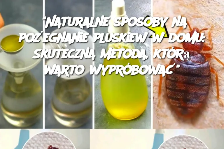 “Naturalne sposoby na pożegnanie pluskiew w domu: Skuteczna metoda, którą warto wypróbować”