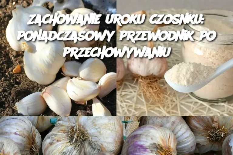 Zachowanie uroku czosnku: ponadczasowy przewodnik po przechowywaniu