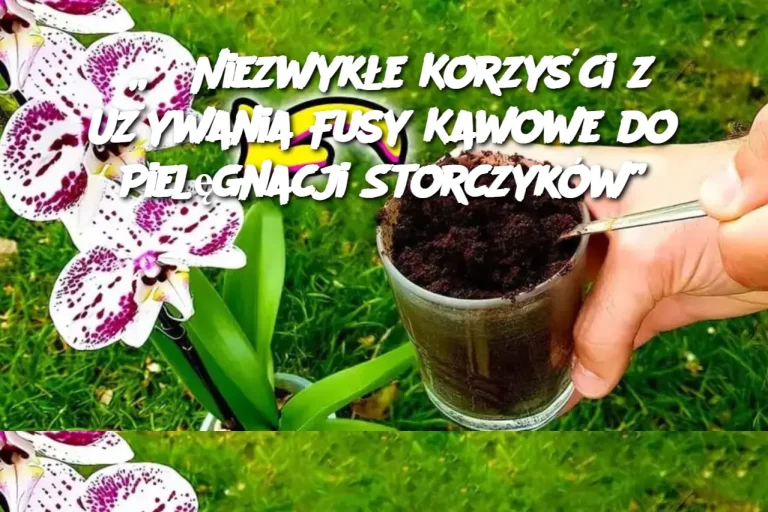 „3 Niezwykłe Korzyści z Używania Fusy Kawowe do Pielęgnacji Storczyków”