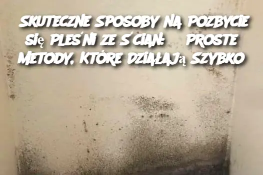 Skuteczne Sposoby na Pozbycie się Pleśni ze Ścian: 3 Proste Metody, Które Działają Szybko