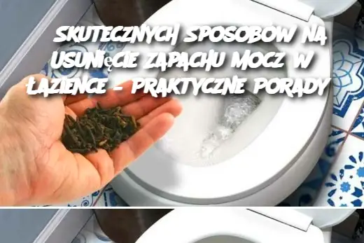 5 Skutecznych Sposobów na Usunięcie Zapachu Mocz w Łazience – Praktyczne Porady