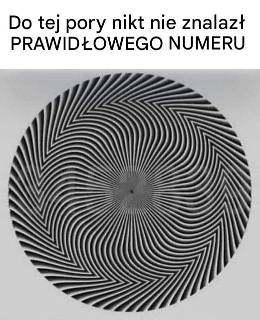 Ta iluzja optyczna ujawnia ukrytą liczbę – a każdy widzi ją inaczej