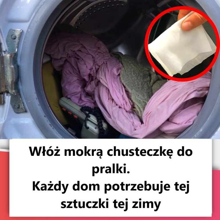 Genialny trik z mokrą chusteczką w pralce – must-have dla każdego domu tej zimy!