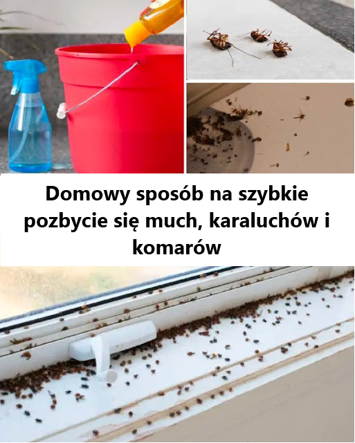 Domowa mieszanka do szybkiego pozbycia się much, karaluchów i komarów