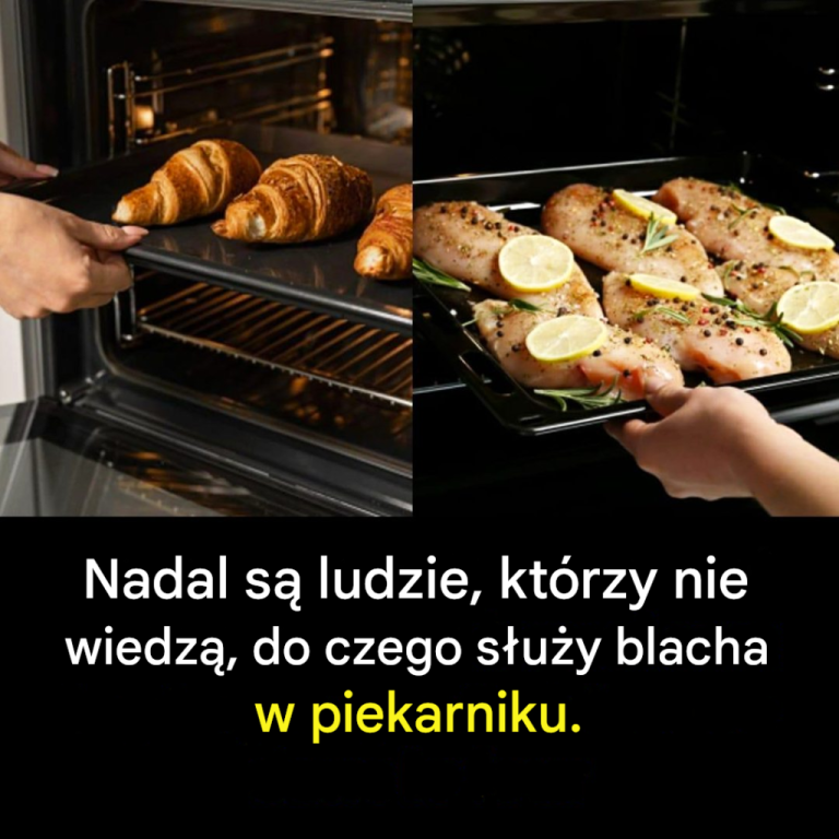 Ale do czego służy talerz w piekarniku?