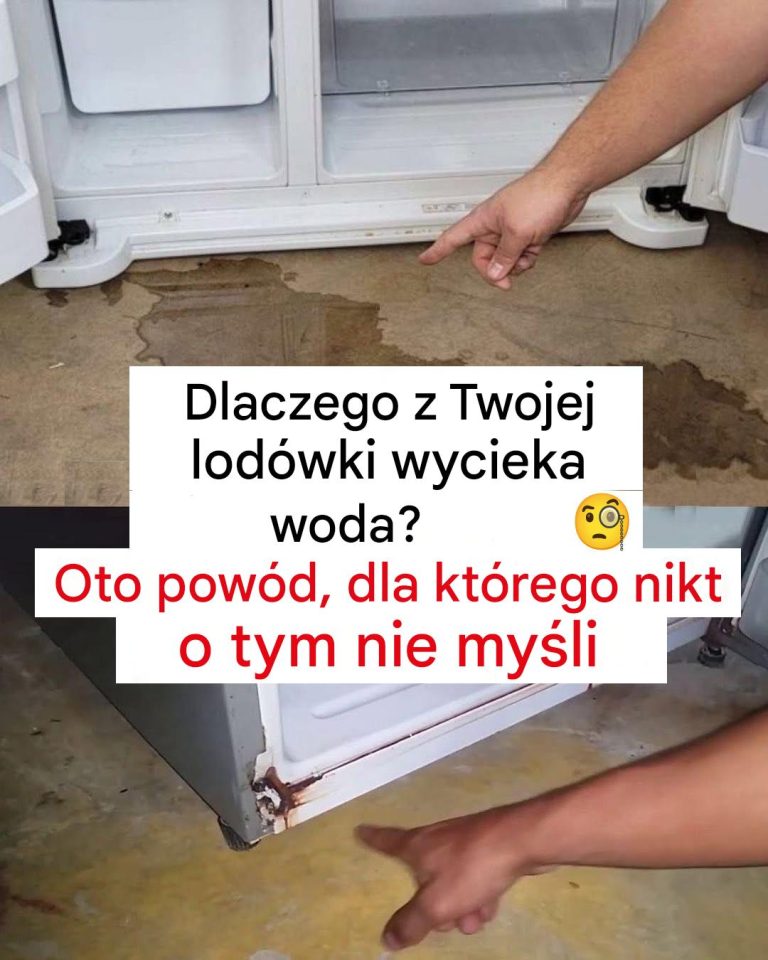 Dlaczego z lodówki leci woda?