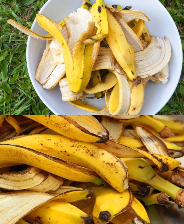 Wyrzucanie skórek od banana to duże marnotrawstwo: dla gospodyń domowych są one na wagę złota | Używaj ich w ten sposób