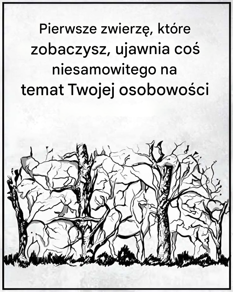 Pierwsze zwierzę, które zobaczysz, powie coś o twojej osobowości.