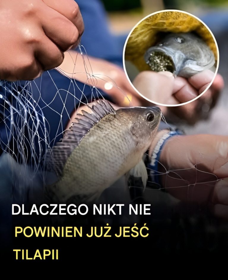 Nadal jesz tilapię? Może warto się dwa razy zastanowić.