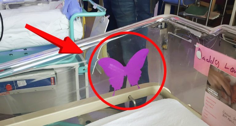 Fioletowy motyl w ciąży: co musisz wiedzieć