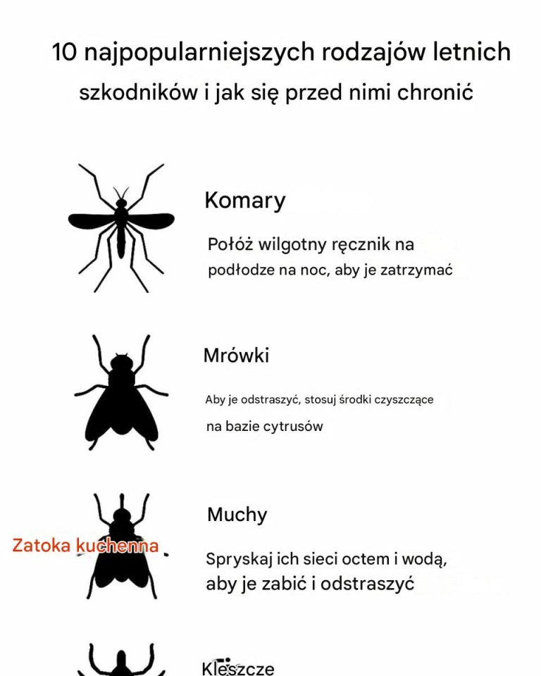 10 najpopularniejszych rodzajów letnich szkodników i jak się przed nimi chronić