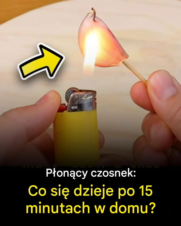 Czosnek, niezbędny w kuchni do wzbogacania smaku potraw, ma niejednego asa w rękawie! Czy wiesz, że spalając go, możesz nie tylko oczyścić powietrze w pomieszczeniu, ale także skorzystać z jego licznych właściwości prozdrowotnych? Nic w tym dziwnego: od zarania dziejów przyprawa ta znana była ze swoich właściwości oczyszczających i leczniczych. Odkryj tę tradycyjną metodę na zdrowsze środowisko w domu.
