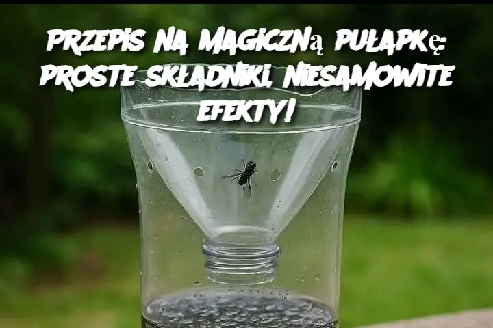Przepis na magiczną pułapkę: proste składniki, niesamowite efekty!