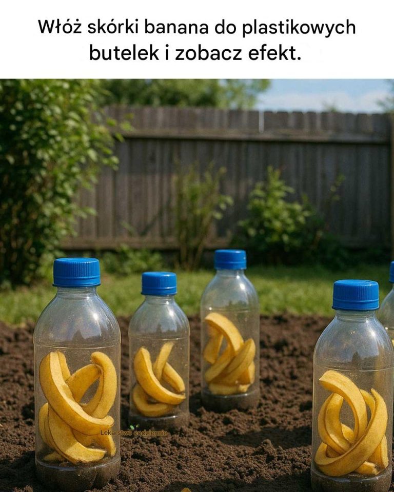Włóż skórki banana do plastikowych butelek i zobacz efekt.