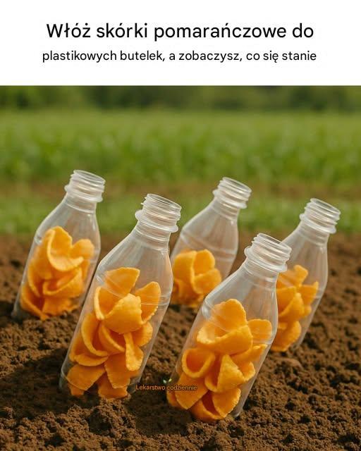 Włóż skórki pomarańczowe do plastikowych butelek, a zobaczysz, co się stanie