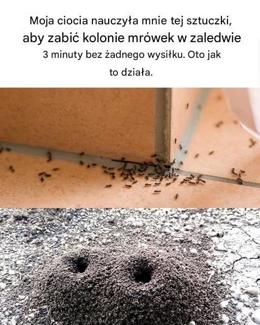 Byłem całkowicie poza pętlą wcześniej! Nie mogę się doczekać, żeby tego spróbować!