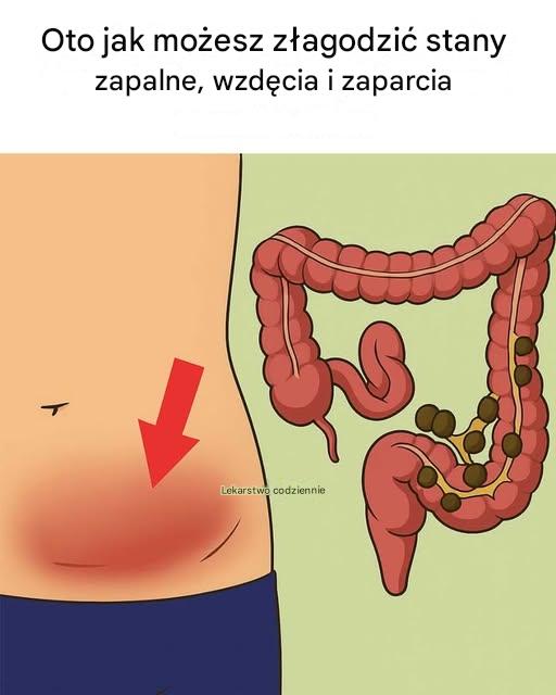 Szkoda, że ​​nie zobaczyłam tego wcześniej!