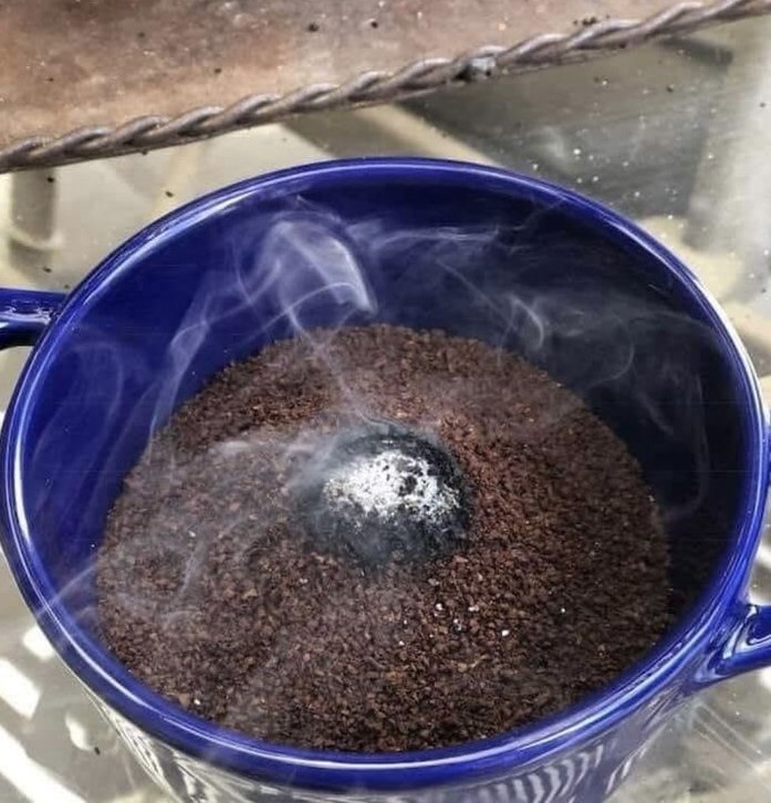 8 potężnych naturalnych insektycydów, które skutecznie zwalczą uporczywe szkodniki w ogrodzie