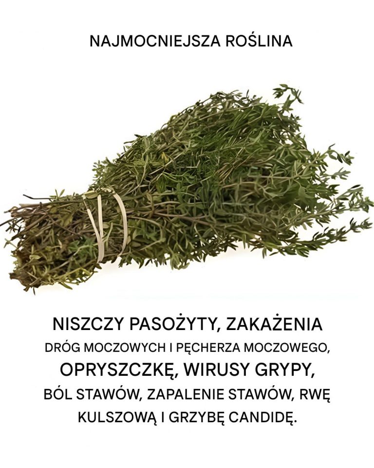 Jest to jedna z najpotężniejszych roślin na świecie.