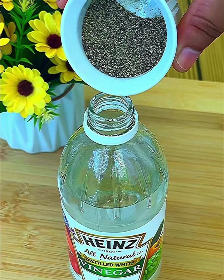 Naturalny spray odstraszający zwierzęta: utrzymanie twojego domu w czystości i świeżości