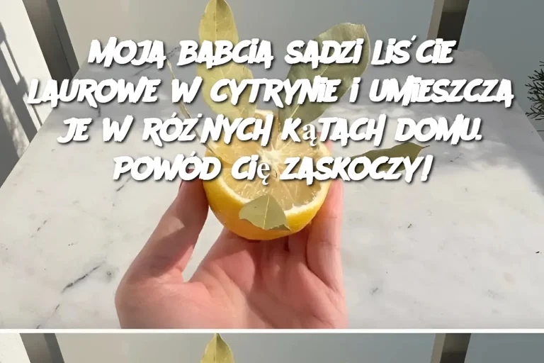 Moja babcia sadzi liście laurowe w cytrynie i umieszcza je w różnych kątach domu. Powód cię zaskoczy!