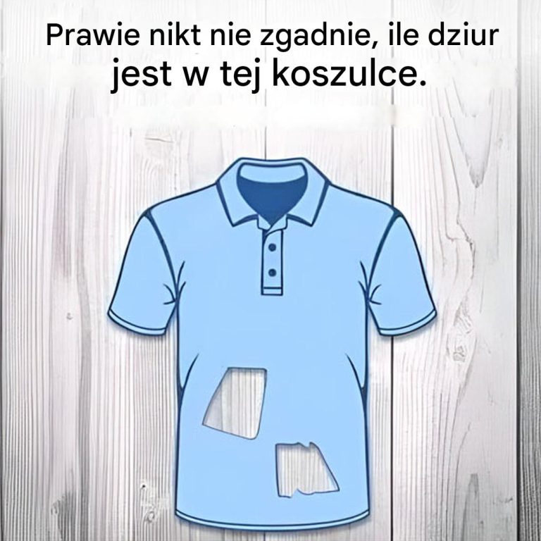 Ile dziur jest w tej koszulce?
