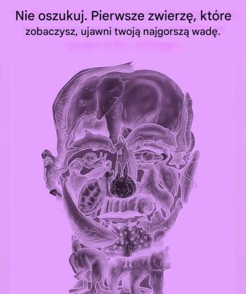 Pierwsze zwierzę, które zobaczysz, ujawni twoją największą wadę.