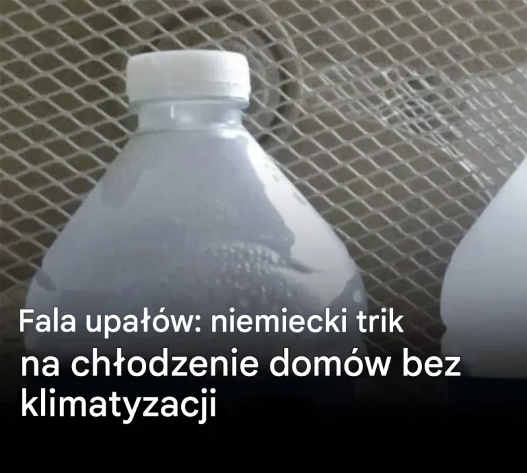 Fala upałów: niemiecki trik na chłodzenie domów bez klimatyzacji